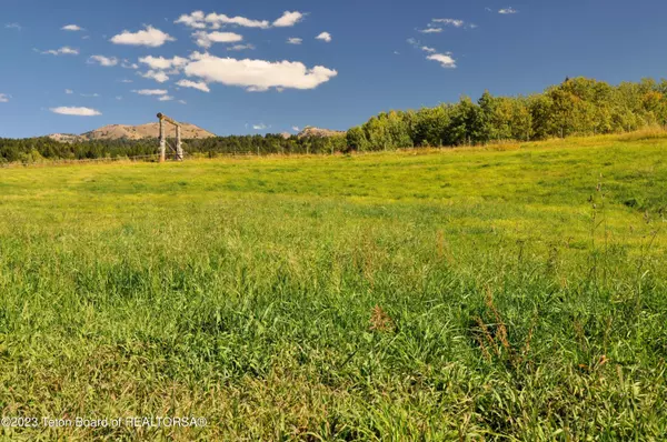 Alta, WY 83414,445 E RIGBY Road