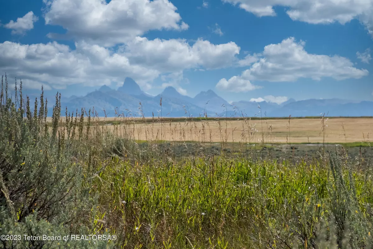 Tetonia, ID 83452,2397 TAMARACK Trail