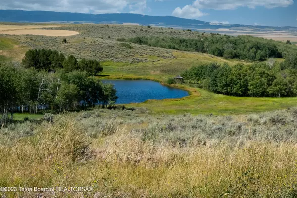 Tetonia, ID 83452,2397 TAMARACK Trail