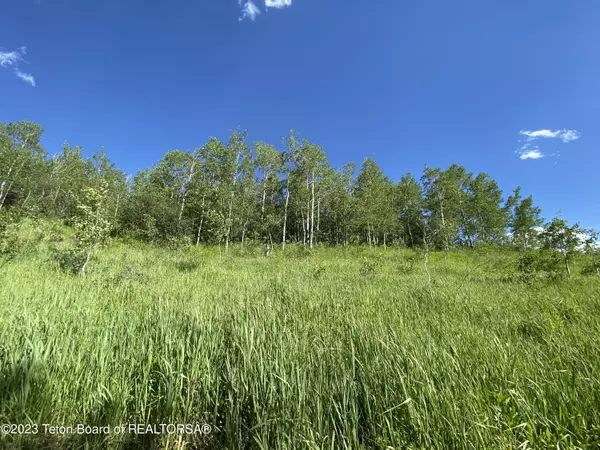 Freedom, ID 83120,9 RIDGE DRIVE