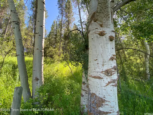 Freedom, ID 83120,2 HWY 34