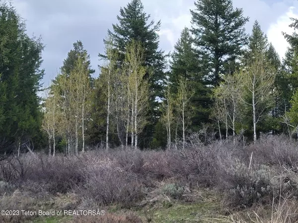 Irwin, ID 83428,L28B3 CUTTHROAT RUN Road