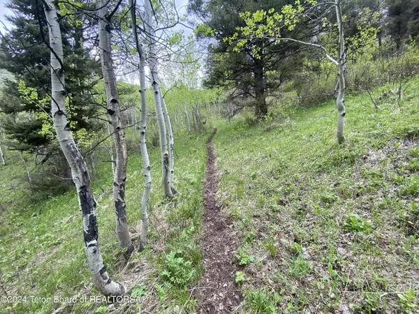 Grover, WY 83122,800 GROVER DRY FARM Road