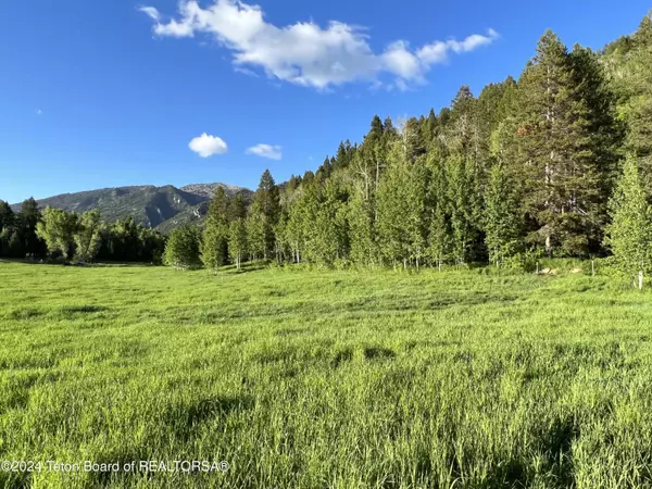 Bedford, WY 83112,NYA KIMBALL COSSING