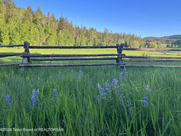 Bedford, WY 83112,NYA KIMBALL COSSING