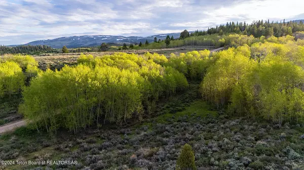 Kemmerer, WY 83101,188 CEDAR TRAIL