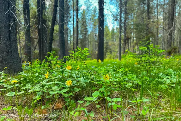 Island Park, ID 83429,3571 BILLS LOOP S Road