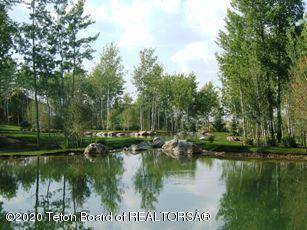 Victor, ID 83455,74 TARGHEE Trail