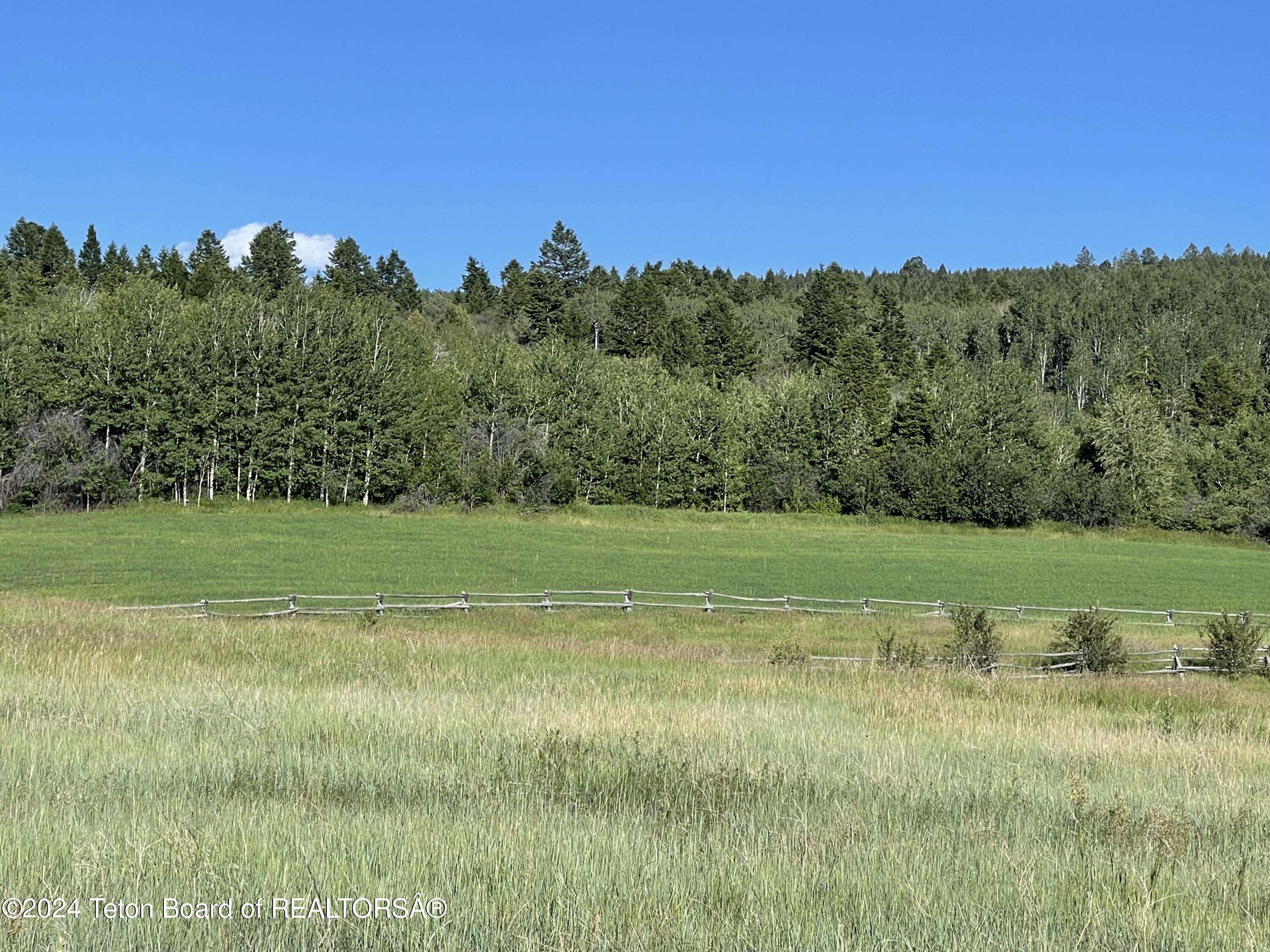 51 TARGHEE TRAIL, Victor, ID 83455