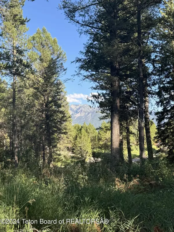 37 ALPINE MEADOWS LOOP, Alpine, WY 83128