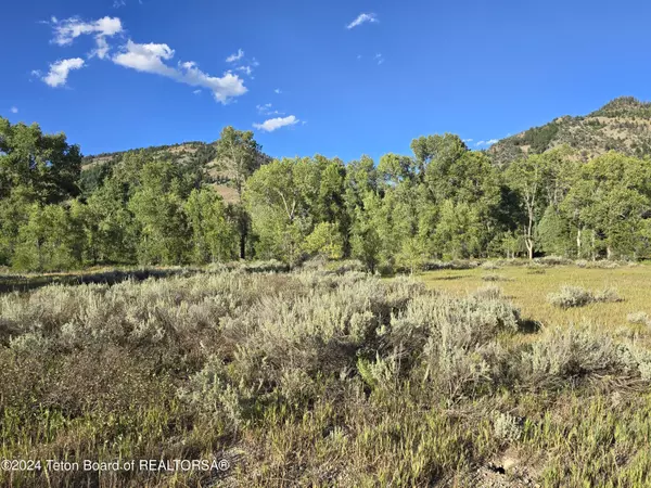 Star Valley Ranch, WY 83127,LOT 95 GOLF COURSE - HARDMAN