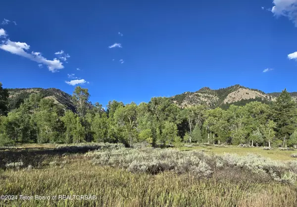 Star Valley Ranch, WY 83127,LOT 95 GOLF COURSE - HARDMAN