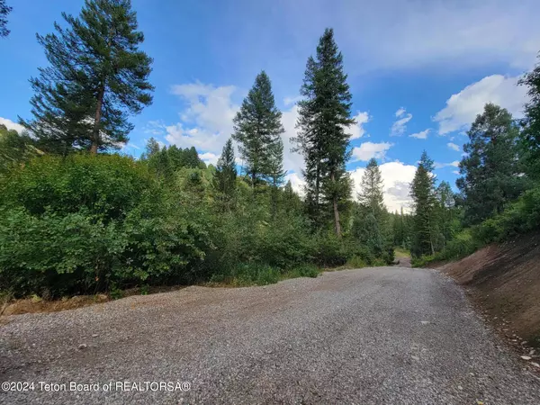 Irwin, ID 83428,L37B4 CUTTHROAT RUN