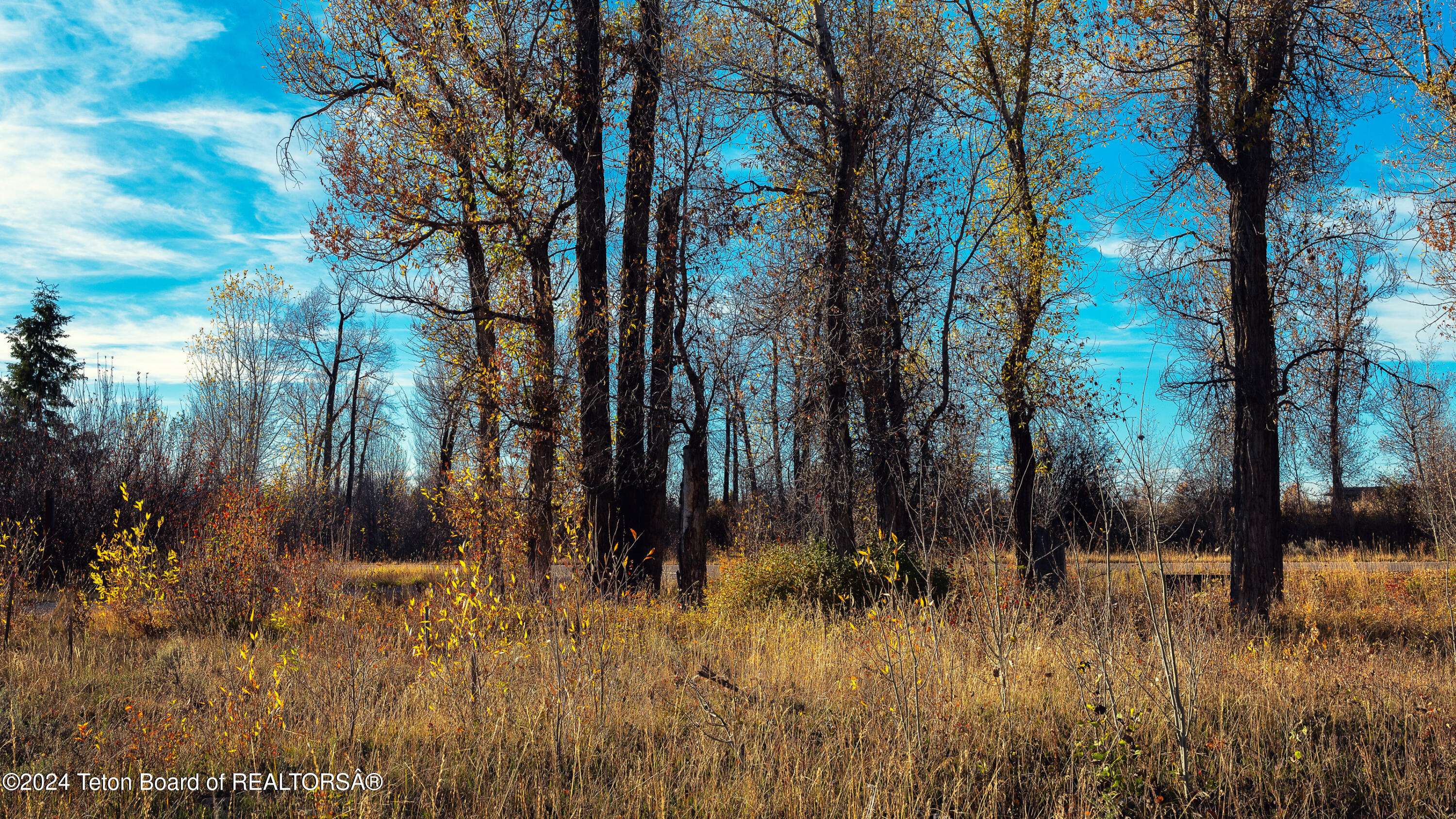 Driggs, ID 83422,1734 HEADWALL Loop