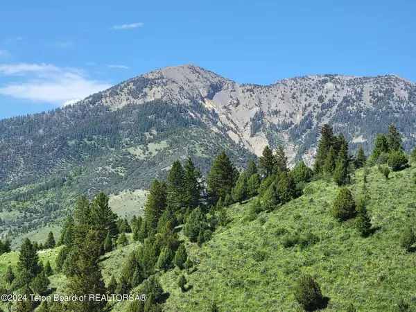 Irwin, ID 83428,491 CUTTHROAT RUN