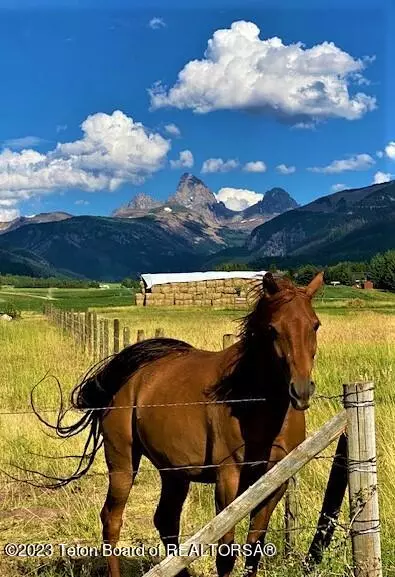 Alta, WY 83414,540 N STATELINE ROAD