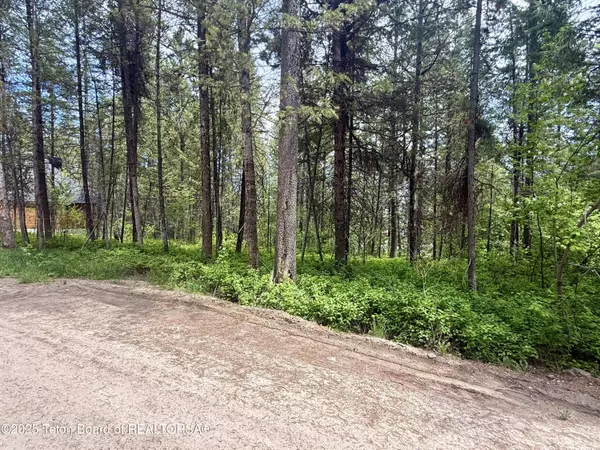 Alpine, WY 83128,LOT 226 PINECREST CIRCLE