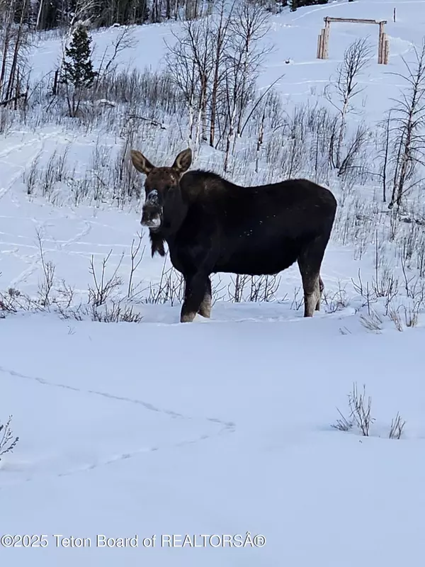 Bondurant, WY 82922,125 ASPEN Drive