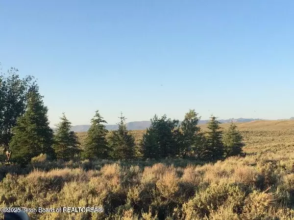 Daniel, WY 83115,LOT 146 BLACK KETTLE ROAD