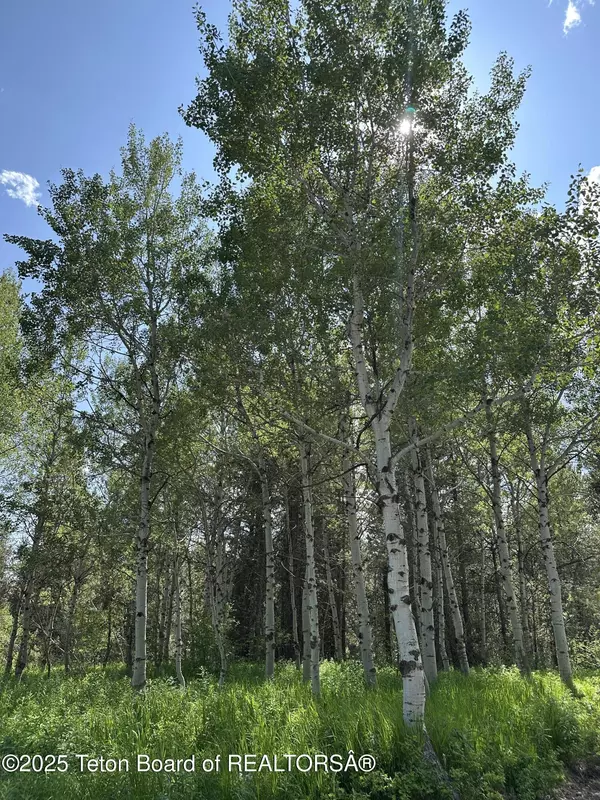 Ashton, ID 83420,4340 BRODYS Bend