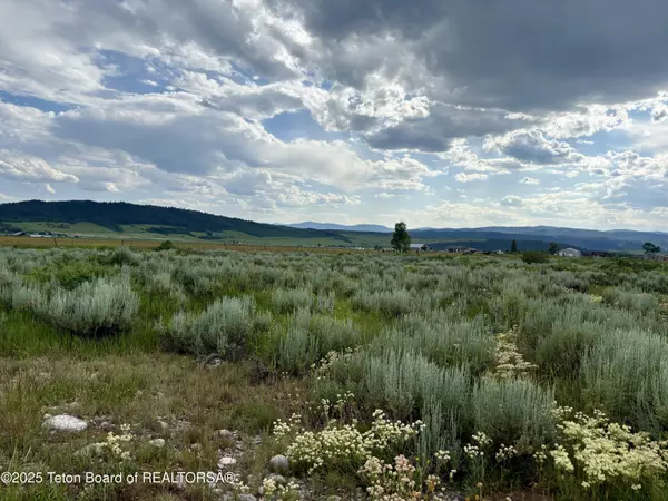 Bedford, WY 83112,LOT 44 CTY RD 126