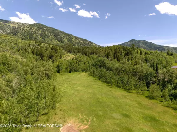 Bedford, WY 83112,LOT 23 SUTER'S CANYON