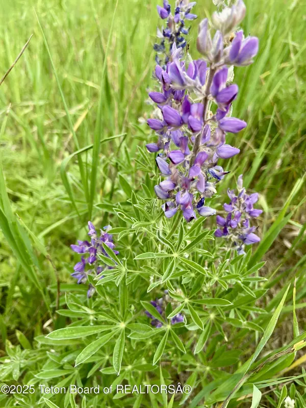 Thayne, WY 83127,LOT 28 ASPEN WAY, PRATER CANYON