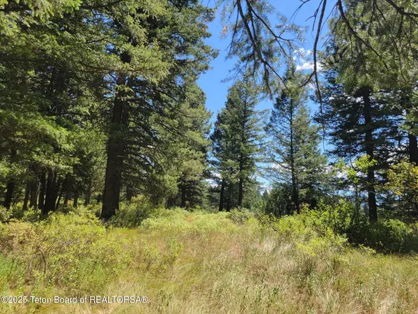 Irwin, ID 83428,L25B3 CUTTHROAT RUN