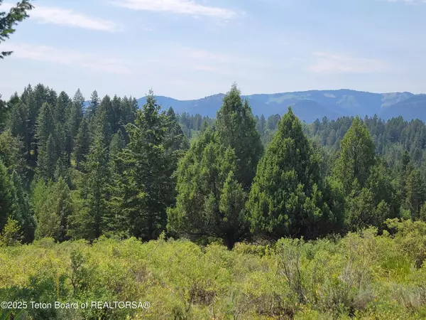 Irwin, ID 83424,L61 B4 CUTTHROAT RUN