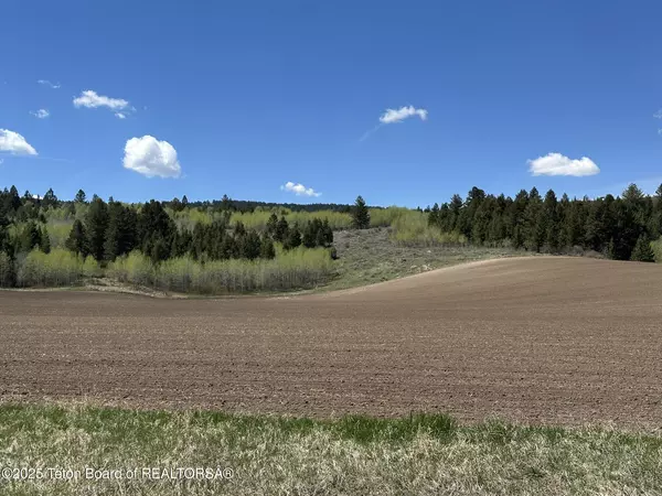 Tetonia, ID 83452,8509 FAWN RIDGE Lane