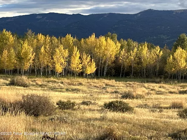 170 ELK PATH,  Swan Valley,  ID 83449