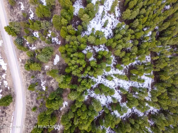 Irwin, ID 83428,L26 BLK3 CUTTHROAT RUN