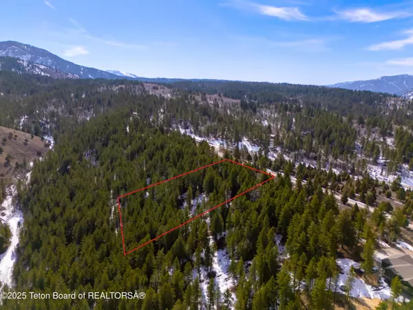 Irwin, ID 83428,L26 BLK3 CUTTHROAT RUN