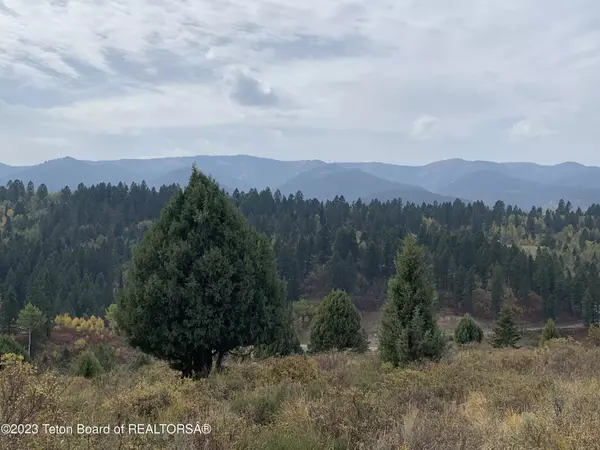 Irwin, ID 83428,L63 BLK4 CUTTHROAT RUN