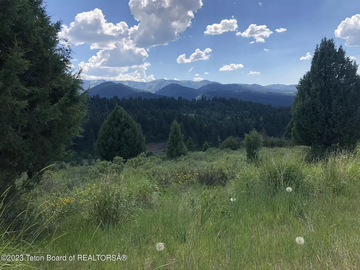 Irwin, ID 83428,L63 BLK4 CUTTHROAT RUN