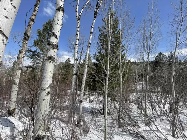 77 BLACK BEAR Lane, Alpine, WY 83128