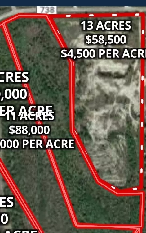 Orange Grove, TX 78372,TBD W Fm 738