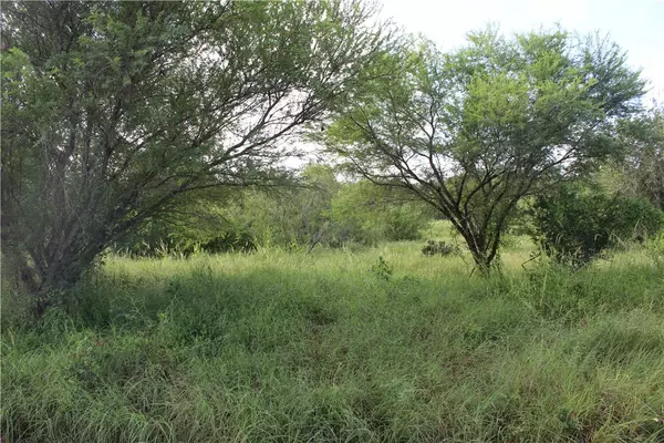 Sandia, TX 78383,Lot 5 Vista Fina Dr.