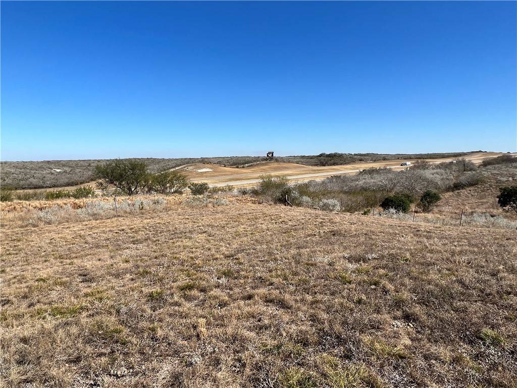 Mathis, TX 78368,96 County Road 390