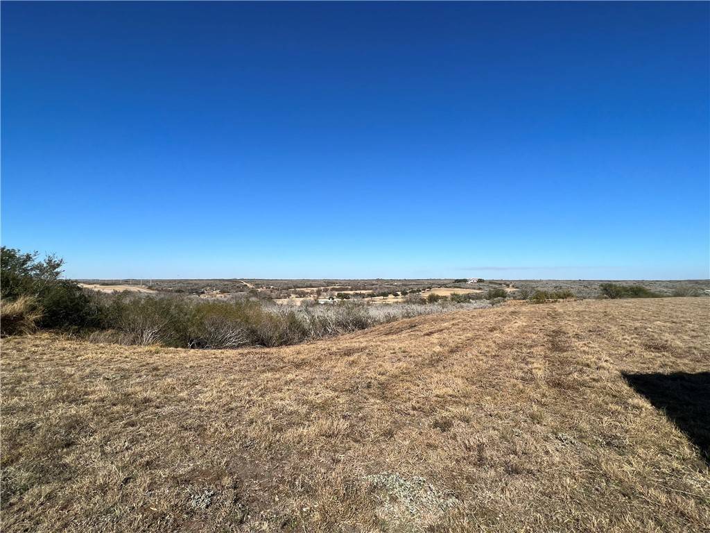 Mathis, TX 78368,96 County Road 390