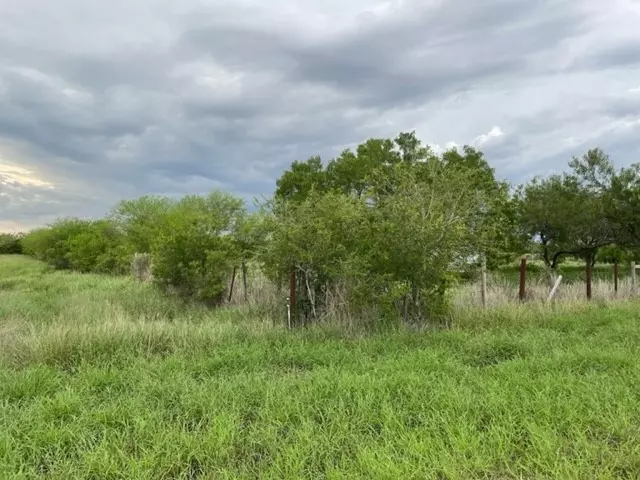 Orange Grove, TX 78372,0 County Road 3084