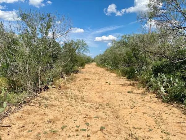 Carrizo Springs, TX 78834,0 43 acres- Buddy's Ln
