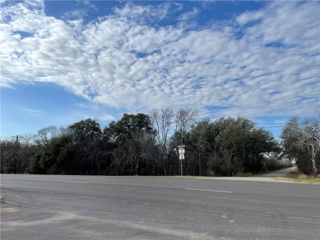 Beeville, TX 78102,0 HWY 181 - Tract 1