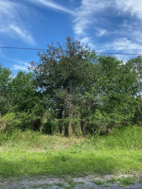 Alice, TX 78332,0 CR 440