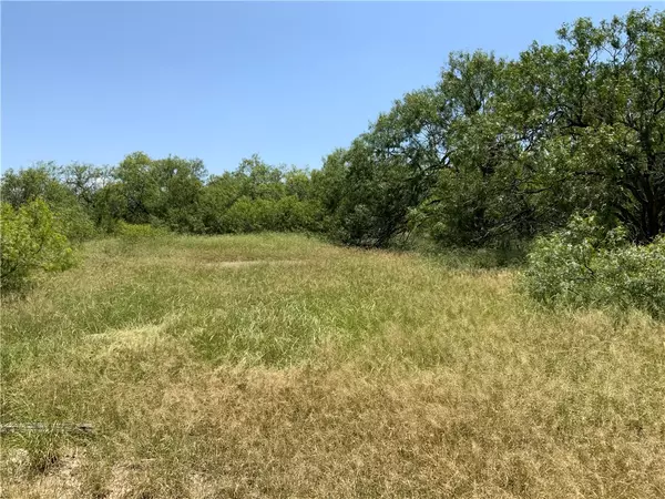 Sinton, TX 78387,Address not disclosed