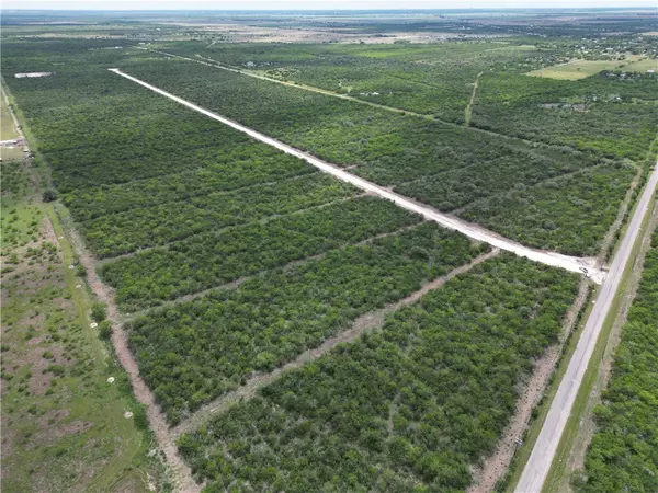 Skidmore, TX 78389,7380 Corrigan Ranch Drive- tract 9