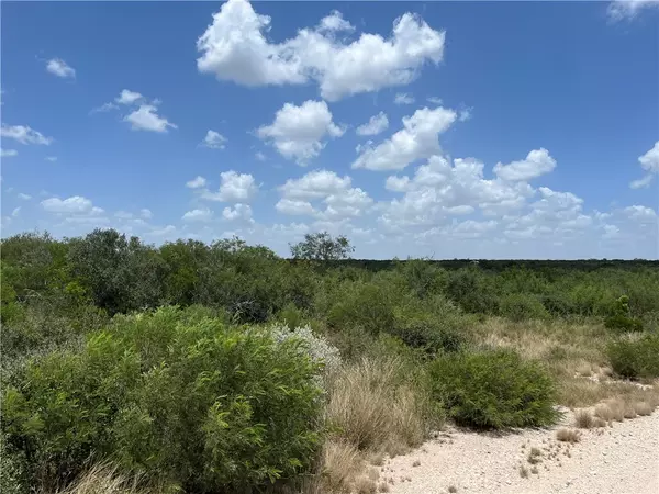 0 Lot 43 Honey Creek Ranch San Diego, TX 78384