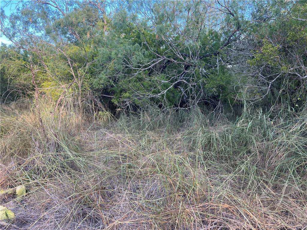 Mathis, TX 78368,TBD Flores