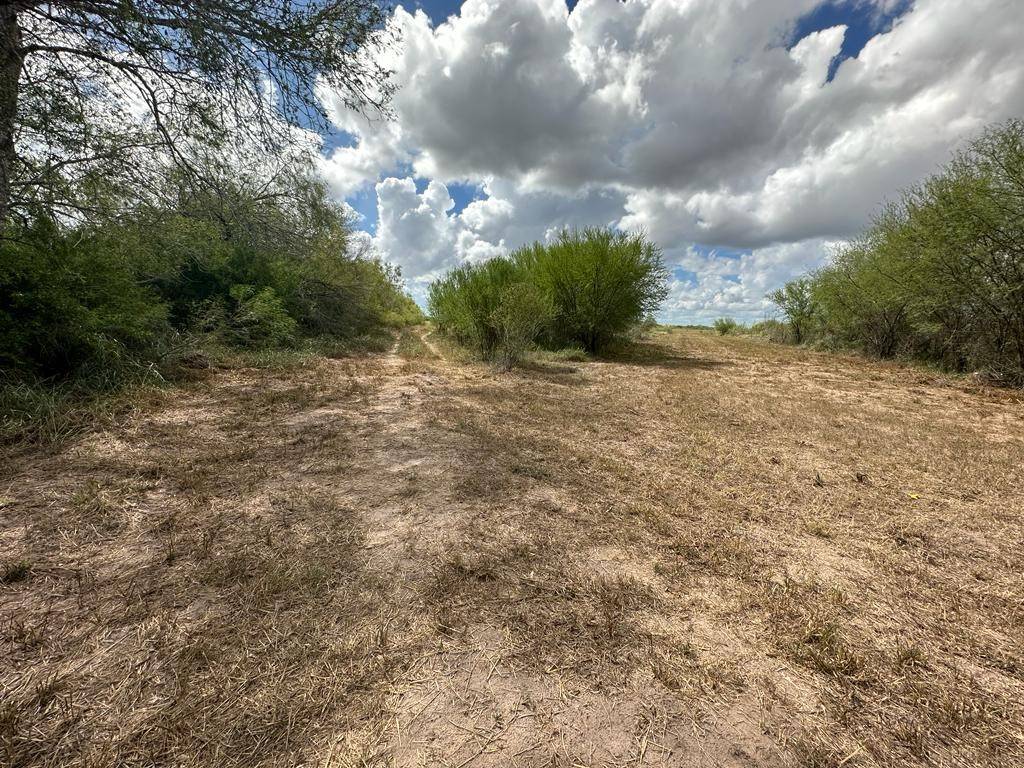 Premont, TX 78355,TBD County Road 408