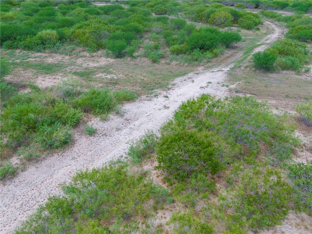 TX 78332,Lot 8 S Hwy 281 RD